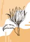Sunflower minimal art Art Print