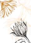 Sunflower minimal art Art Print