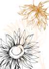 Sunflower minimal art Art Print