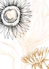 Sunflower minimal art Art Print