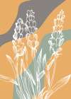 Lavender flowers Art Print
