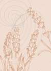 Lavender flowers Art Print