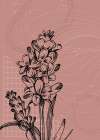 Lavender flowers Art Print