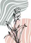 Lavender flowers Art Print
