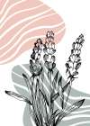 Lavender flowers Art Print