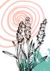 Lavender flowers Art Print