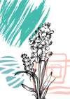 Lavender flowers Art Print