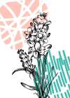 Lavender flowers Art Print