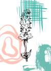 Lavender flowers Art Print