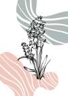 Lavender flowers Art Print