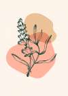 Lavender flowers Art Print