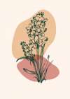 Lavender flowers Art Print