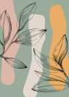 Jojoba plants Art Print