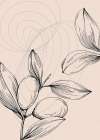 Jojoba plants Art Print