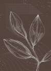 Jojoba plants Art Print