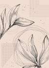 Jojoba plants Art Print