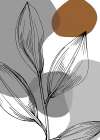 Jojoba plants Art Print