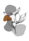 Jojoba plants Art Print