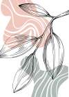 Jojoba plants Art Print
