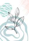 Jojoba plants Art Print