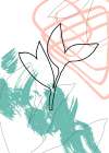 Jojoba plants Art Print