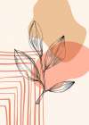 Jojoba plants Art Print