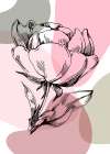 Peonies flowers minimal art Art Print