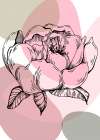 Peonies flowers minimal art Art Print