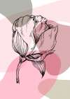 Peonies flowers minimal art Art Print