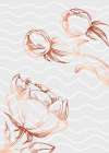 Peonies flowers minimal art Art Print