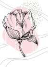 Peonies flowers minimal art Art Print