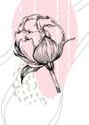Peonies flowers minimal art Art Print