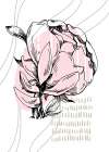 Peonies flowers minimal art Art Print