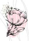 Peonies flowers minimal art Art Print