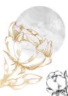 Peonies flowers minimal art Art Print