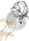 Peonies flowers minimal art Art Print