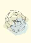 Peonies flowers minimal art Art Print