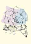 Peonies flowers minimal art Art Print