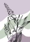 Lavender flowers Art Print