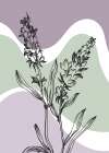 Lavender flowers Art Print