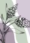 Lavender flowers Art Print