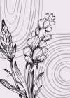Lavender flowers Art Print