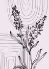 Lavender flowers Art Print