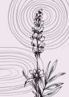 Lavender flowers Art Print