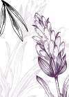 Lavender flowers Art Print