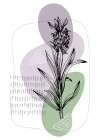 Lavender flowers Art Print