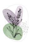 Lavender flowers Art Print