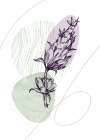 Lavender flowers Art Print