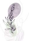 Lavender flowers Art Print