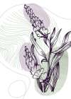 Lavender flowers Art Print